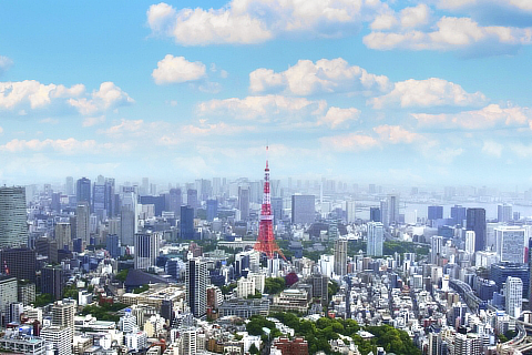立地力診断と現在の立地を活かす戦略策定コンサルティング